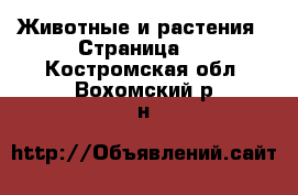  Животные и растения - Страница 4 . Костромская обл.,Вохомский р-н